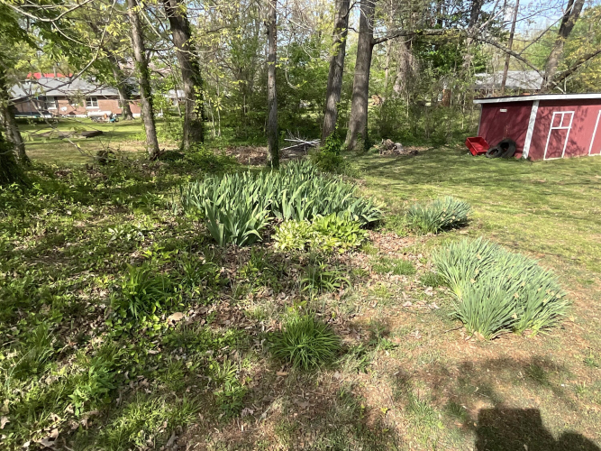 Listing Image 61