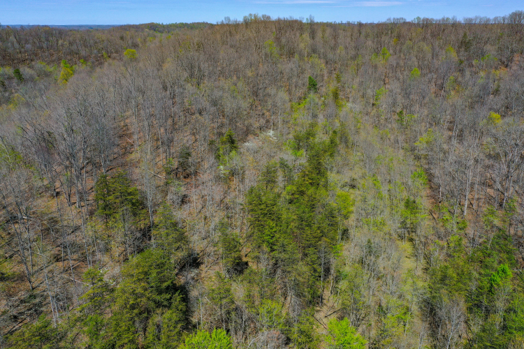 Listing Image 25