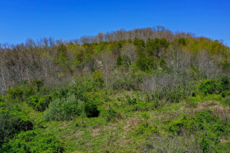 Listing Image 29