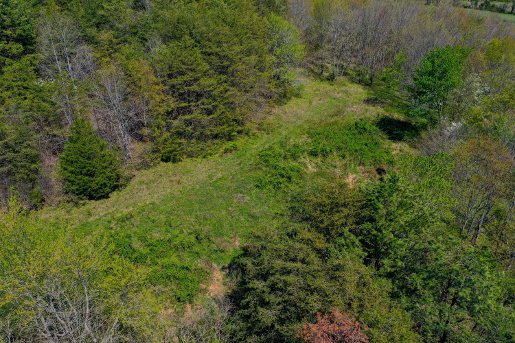 Listing Image 38