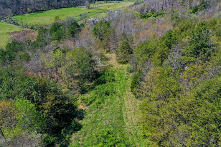 Listing Image 42