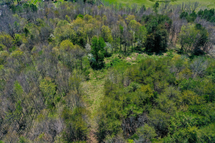 Listing Image 45