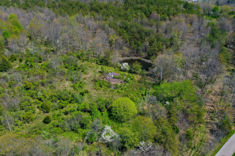 Listing Image 47