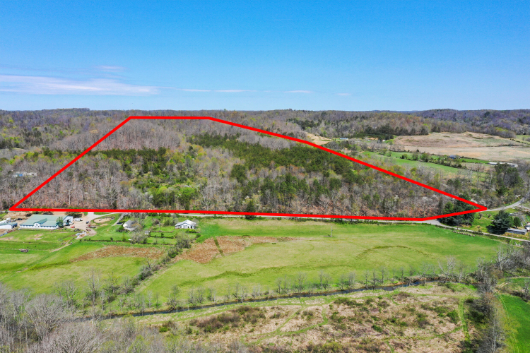 Listing Image 7