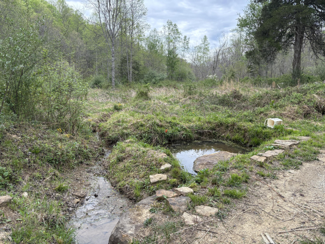 Listing Image 17