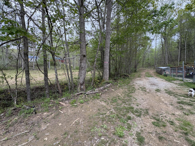 Listing Image 22