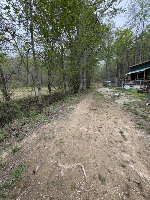 Listing Image 31