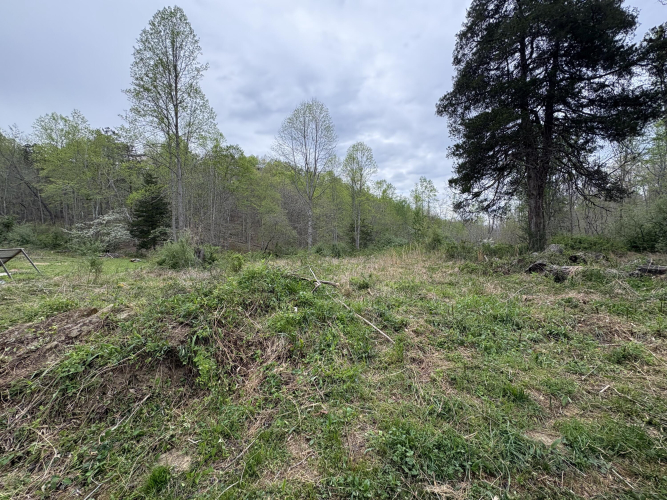 Listing Image 49