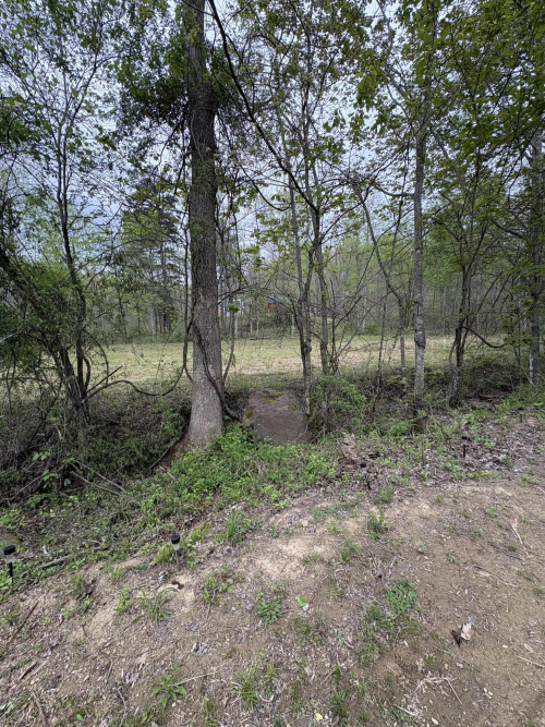 Listing Image 50