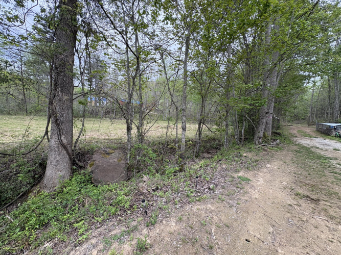 Listing Image 52