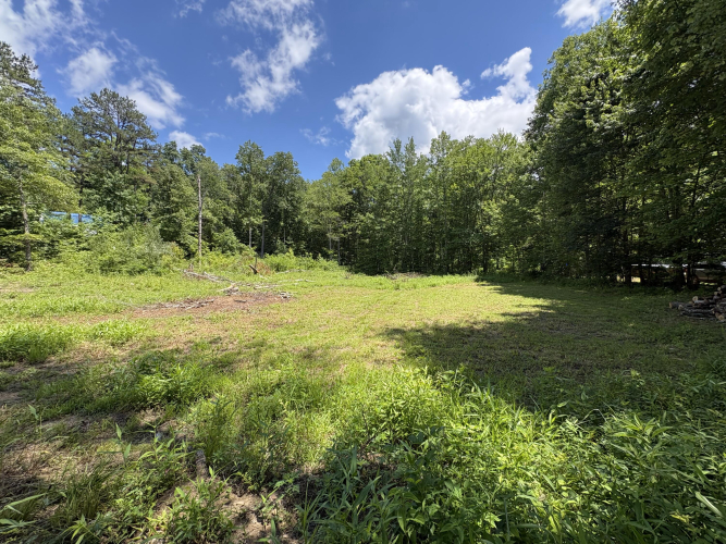 Listing Image 55