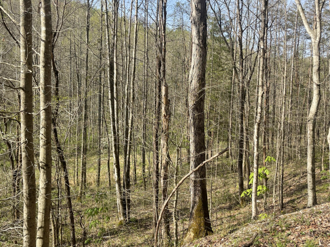 Listing Image 13