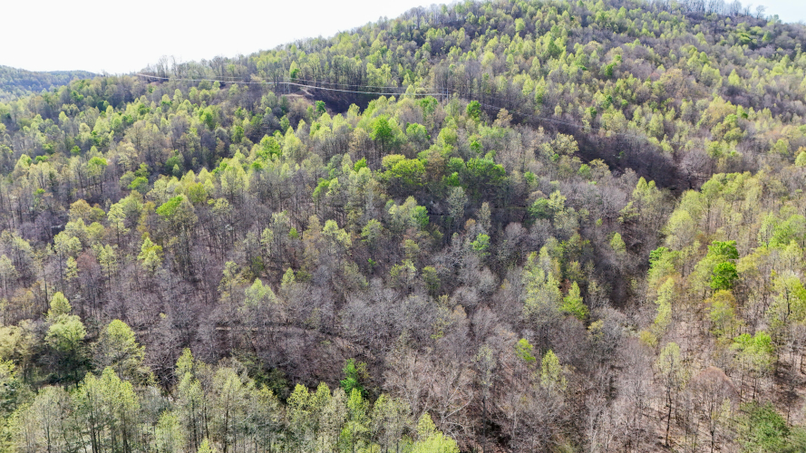 Listing Image 17