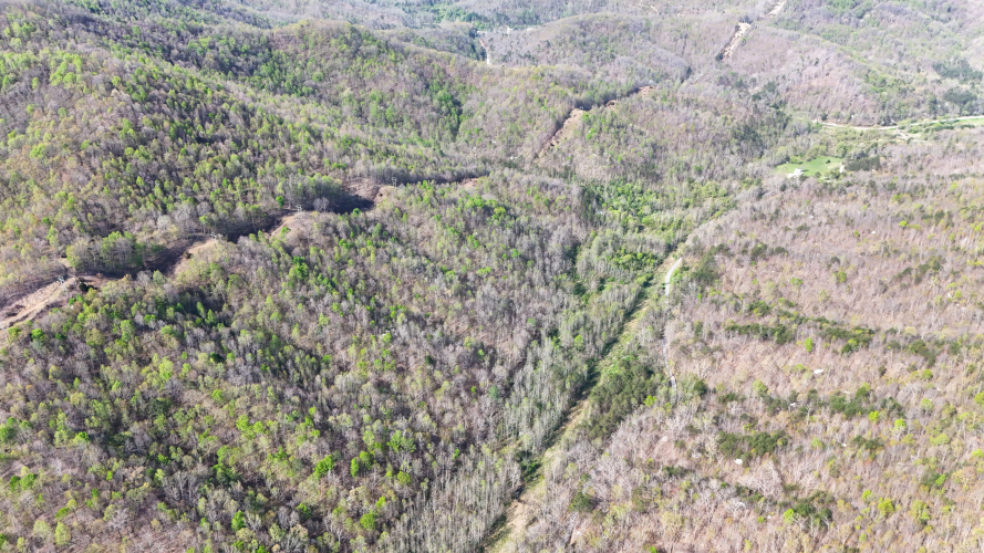 Listing Image 21