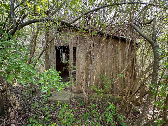 Listing Image 24