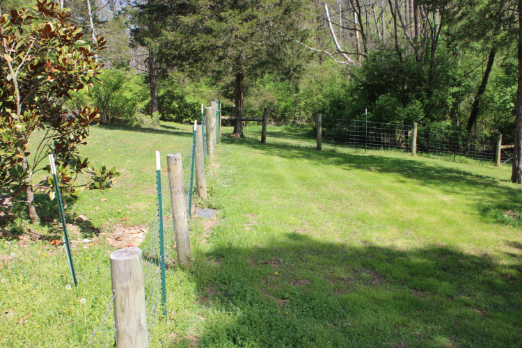 Listing Image 35
