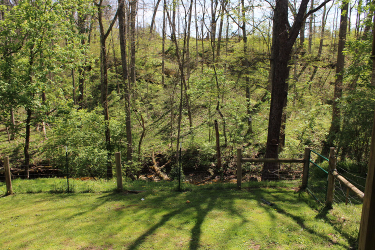 Listing Image 36