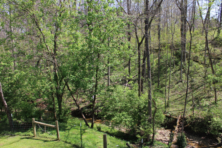 Listing Image 37