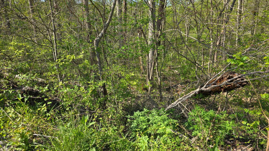 Listing Image 5