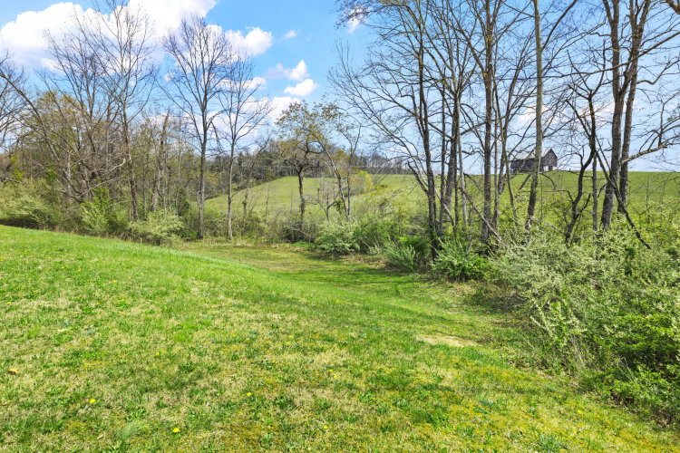 Listing Image 37