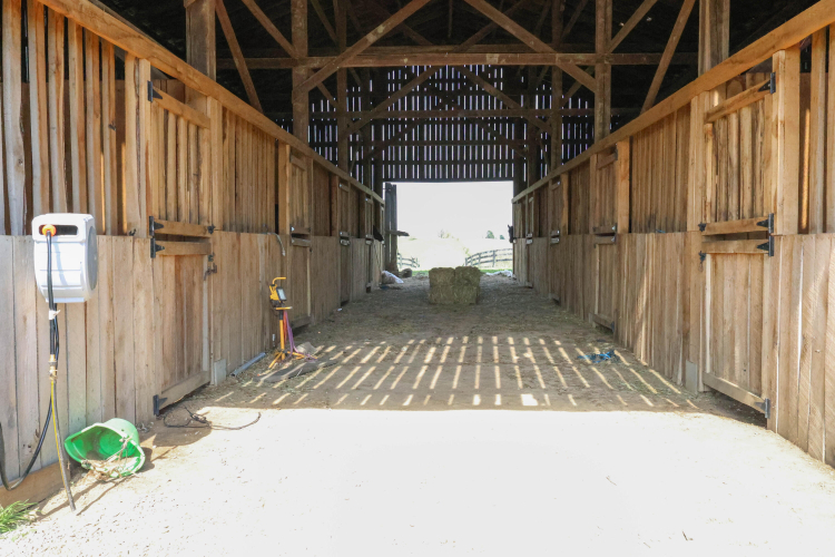 Listing Image 14