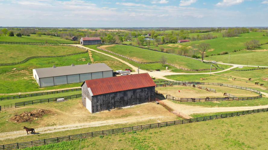 Listing Image 16