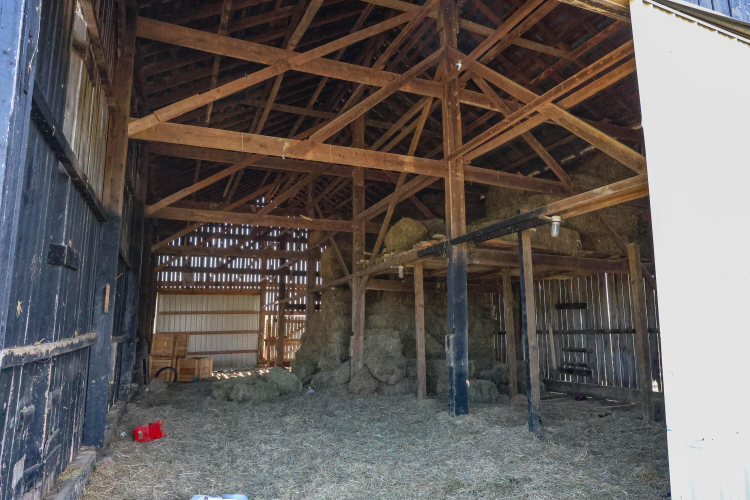 Listing Image 17
