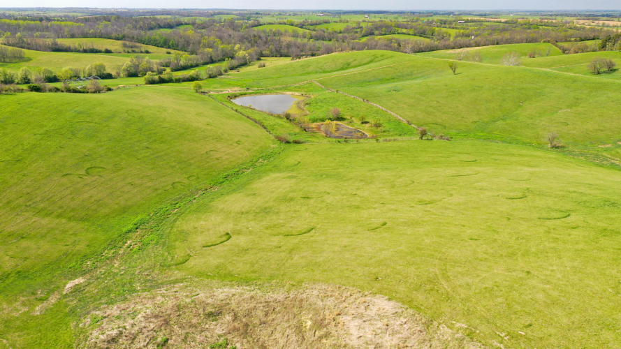 Listing Image 29