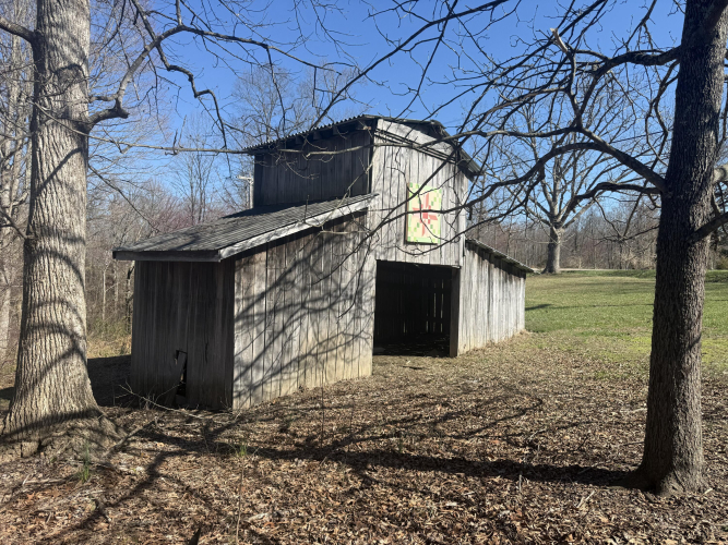 Listing Image 4