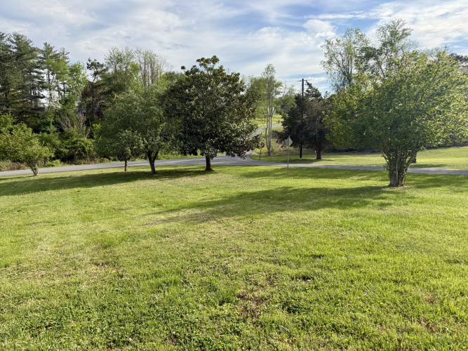Listing Image 55