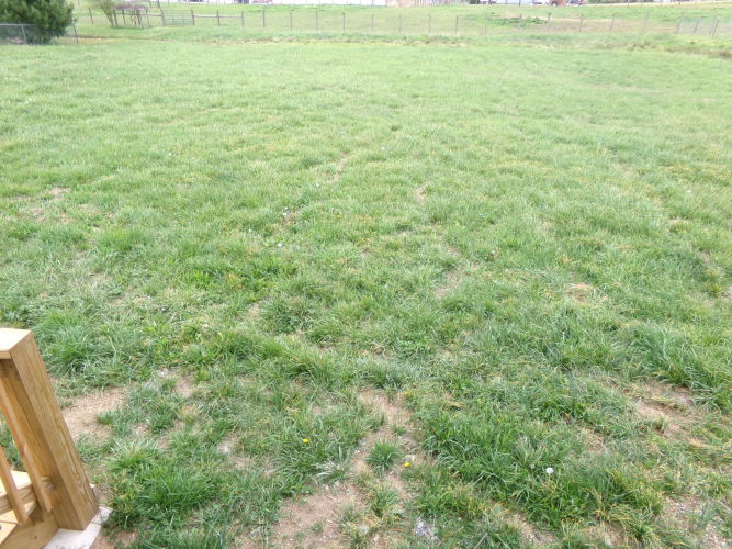 Listing Image 40