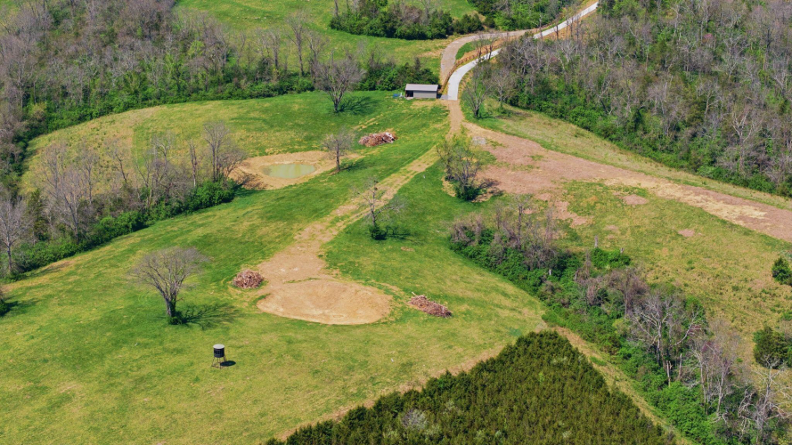 Listing Image 11