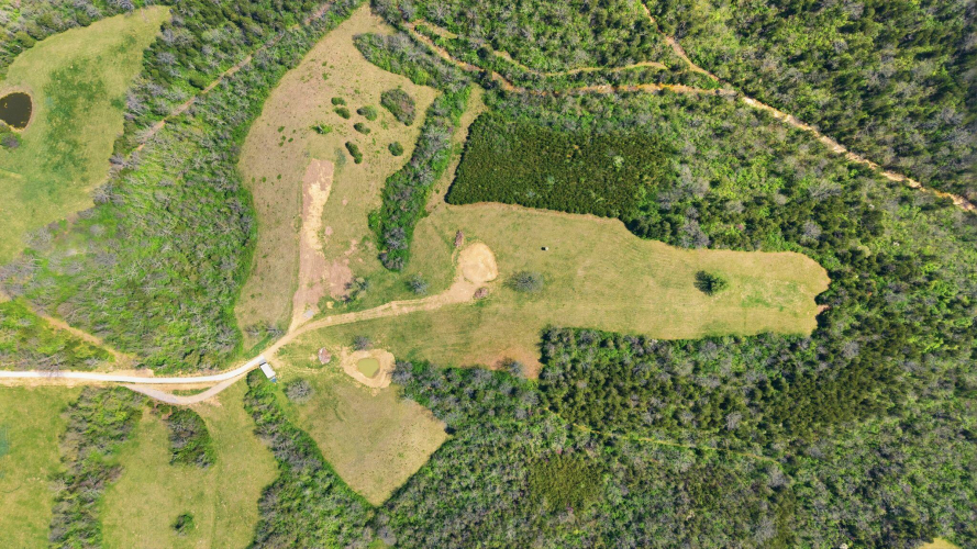 Listing Image 17