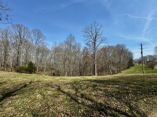 Listing Image 101