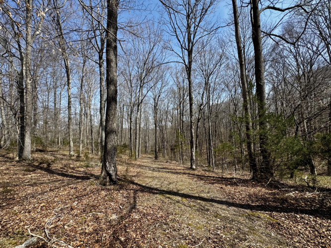 Listing Image 102