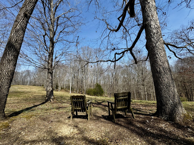 Listing Image 103