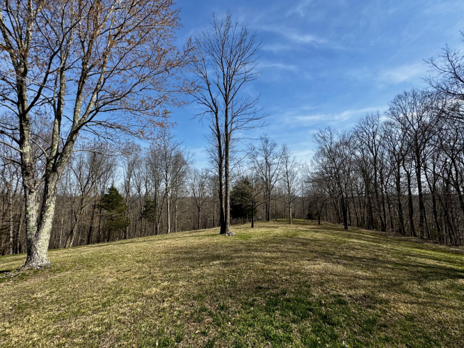 Listing Image 50