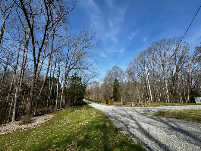 Listing Image 76