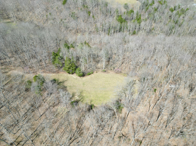 Listing Image 83