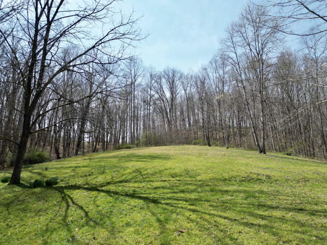 Listing Image 85