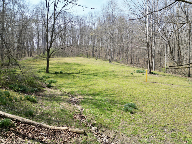 Listing Image 86