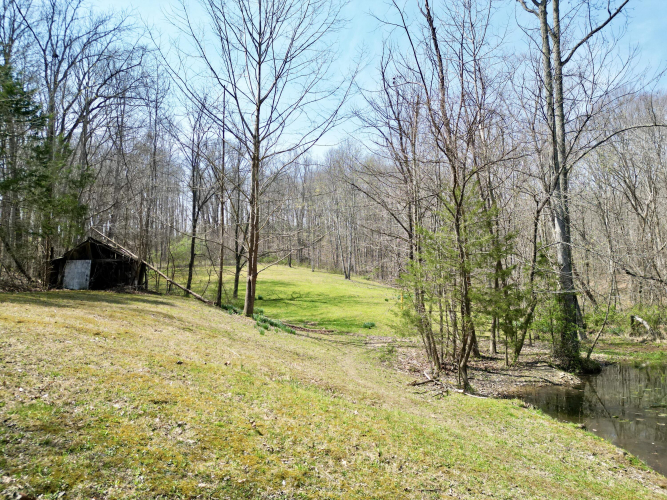 Listing Image 87