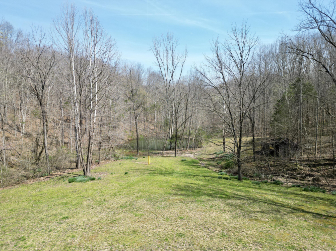 Listing Image 88