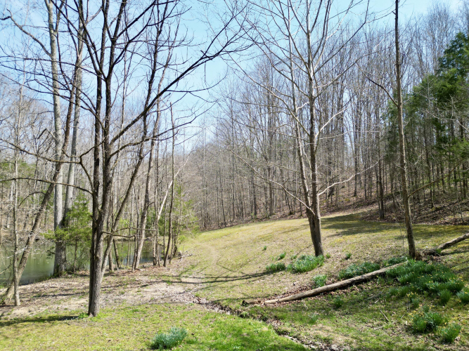 Listing Image 89