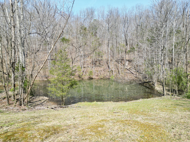 Listing Image 90