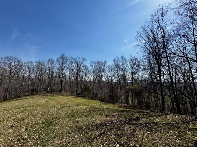 Listing Image 92