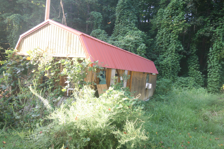 Listing Image 11