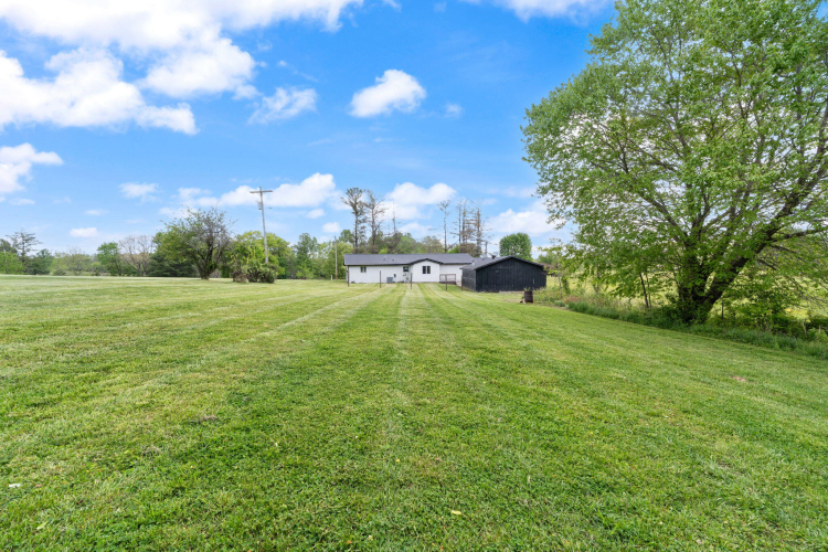 Listing Image 62