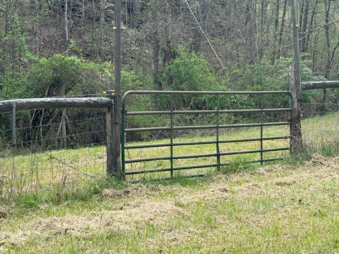 Listing Image 5
