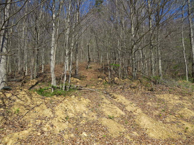 Listing Image 28